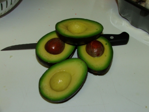 Creation of Avocados: Step 1